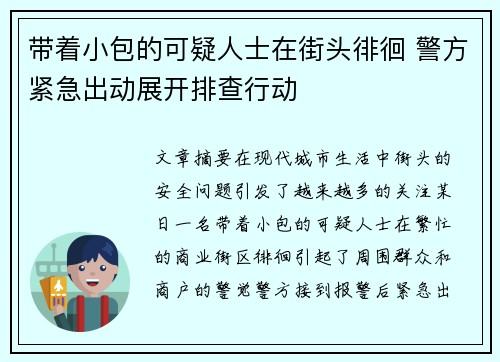 带着小包的可疑人士在街头徘徊 警方紧急出动展开排查行动
